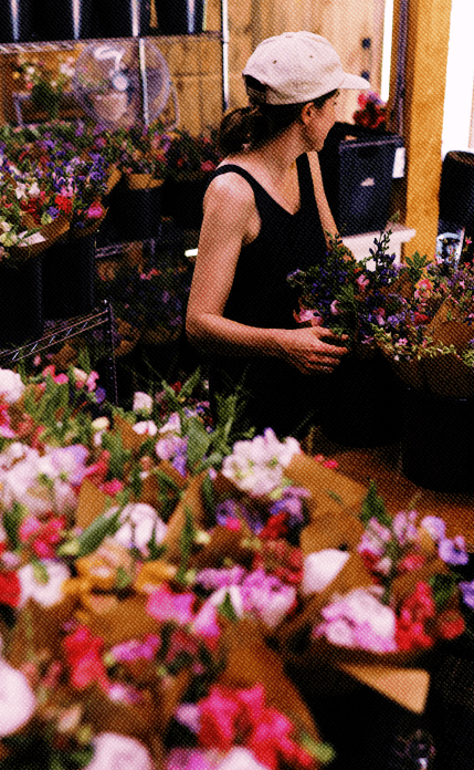 flowers